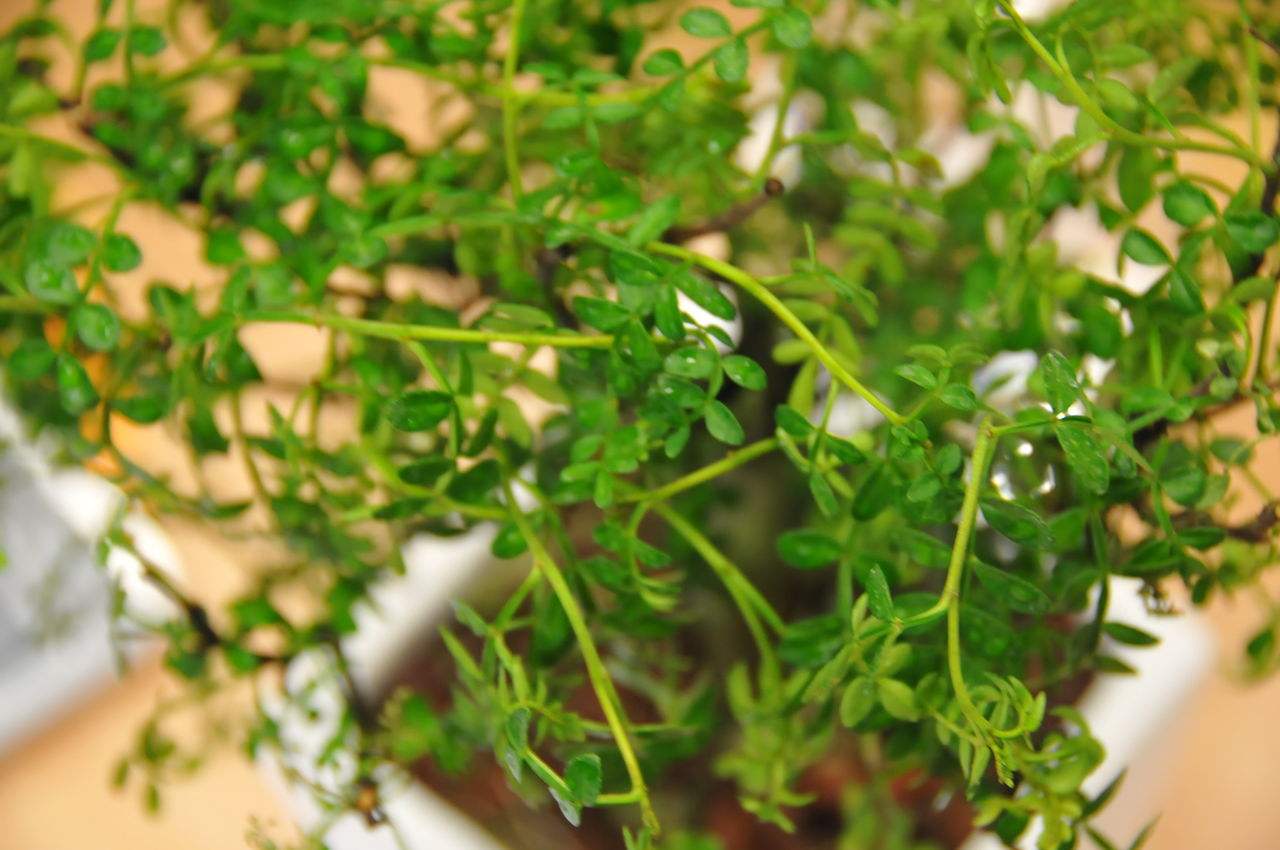 ����ľ����ֳ������ȫ�ͻ���Ҫע������ ����ľ�辰�޼�����ͼ��