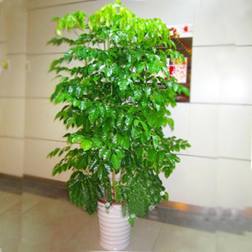 �Ҹ���ʲôʱ���輸�·ݻ������ ��ô���Ҹ��������ע������