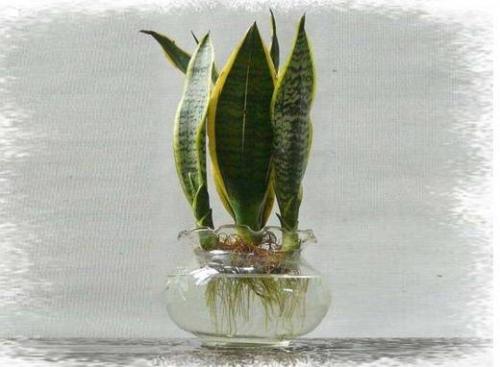 ��β����ˮ�������ˮ�໢β�������ͼ�����ϸ���ܣ�