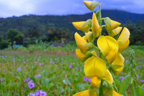 ����ݵĻ�����ʲô �������ʲôԢ�� ���ڽ���ݵĴ�˵����