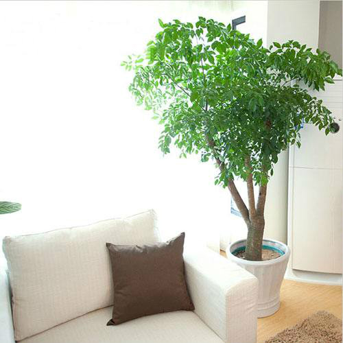 ��������ô�����ܸ���ʢ  ����������ֳ������ע�������ȫ