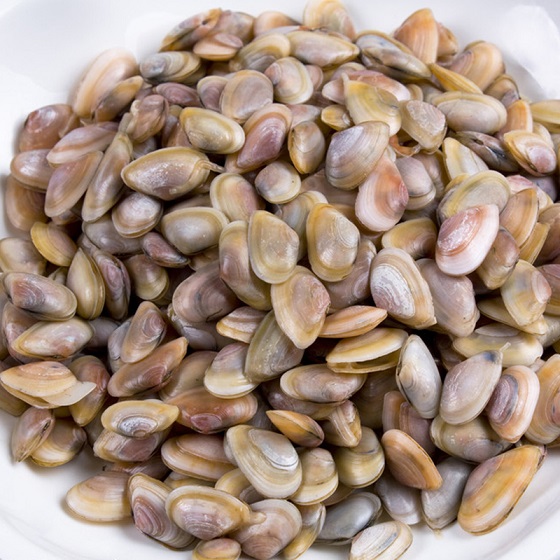 海瓜子养殖前景好吗?海瓜子如何养殖技术方法用什么肥料养多久