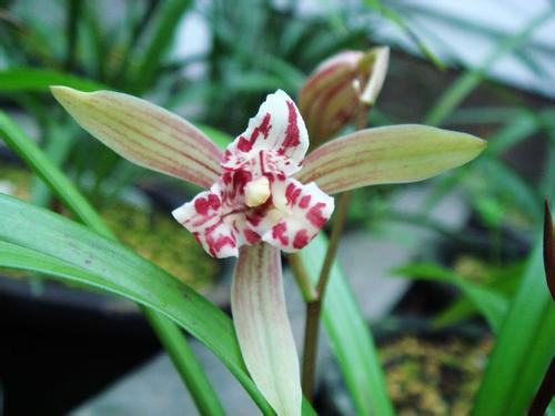 ����ʲôʱ�����ȽϺ�  ��������ֳ������ע�������ȫ