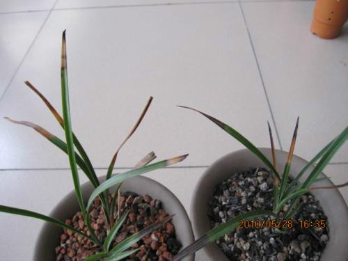 ����ʲôʱ�����ȽϺ�  ��������ֳ������ע�������ȫ