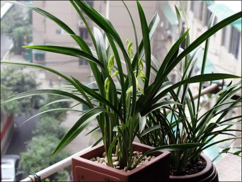 ����ʲôʱ�����ȽϺ�  ��������ֳ������ע�������ȫ