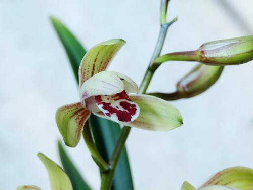 ����ʲôʱ�����ȽϺ�  ��������ֳ������ע�������ȫ