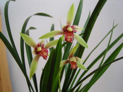 ����ʲôʱ�����ȽϺ�  ��������ֳ������ע�������ȫ