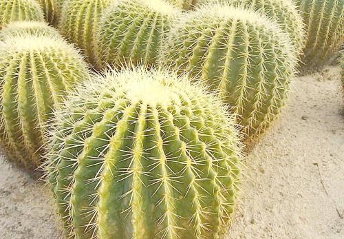 �����򷢻���ô���²�����ʲô����ν�������򷢻����⣿