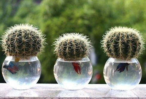 ˮ����������ô����ϸ���̲������, ˮ���������ճ���������