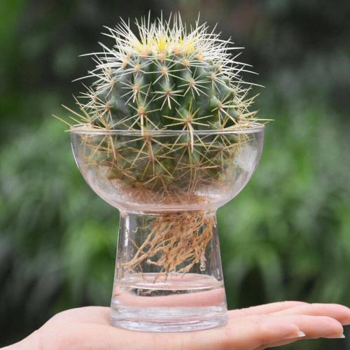 ˮ����������ô����ϸ���̲������, ˮ���������ճ���������