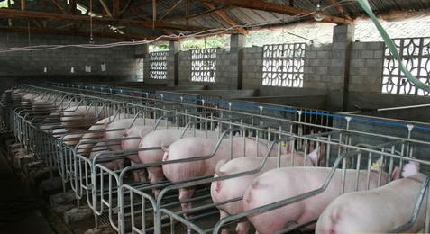 ʺũķҪעļ, ũ׼Ƕ٣