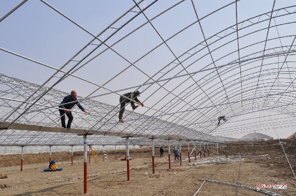 大棚养虾水泥池建设图