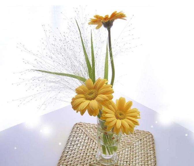 ˮ����޾յ���ֳ������ע������