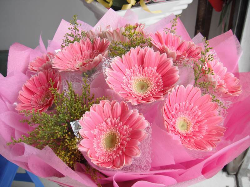 ˮ����޾յ���ֳ������ע������