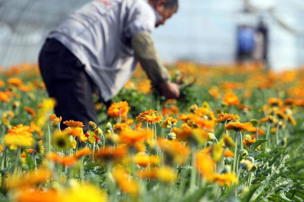 ˮ����޾յ���ֳ������ע������