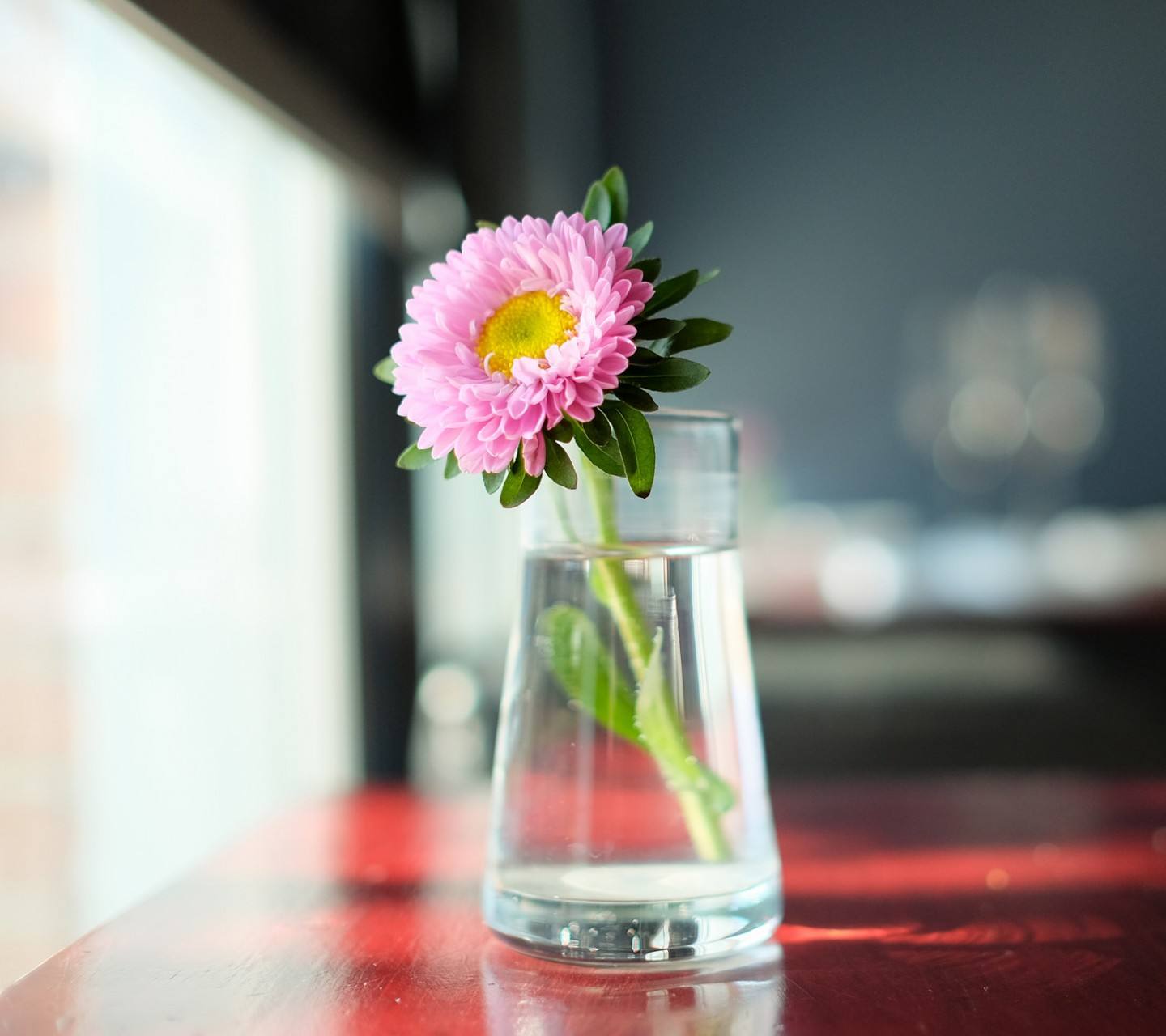 ˮ����޾յ���ֳ������ע������