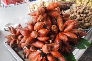 蛇皮果怎么长的图片价格多少?蛇皮果好养吗种植技术介绍