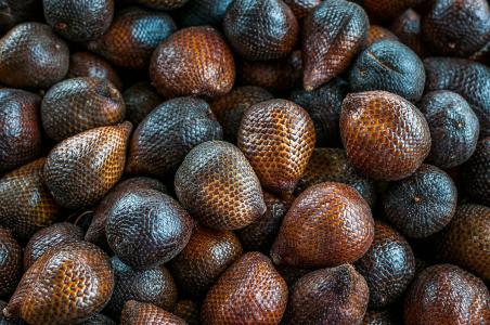 蛇皮果怎么长的图片价格多少?蛇皮果好养吗种植技术介绍