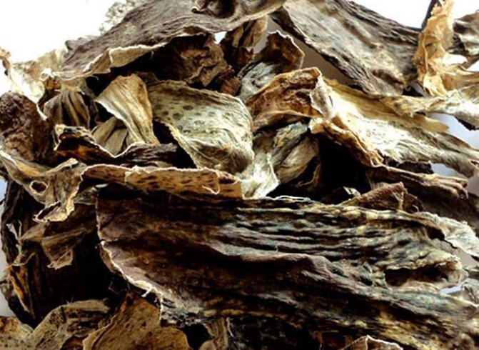 蟾蜍的药用价值 蟾蜍价格多少钱一斤2017