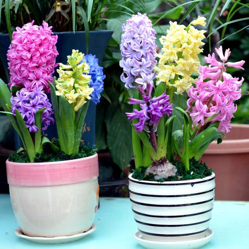 ������ʲô���ڿ���ʱ���ж�û����ж೤ �����ӿ�������ô����