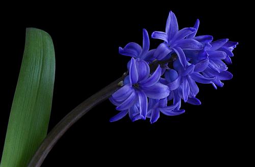 ������ʲô���ڿ���ʱ���ж�û����ж೤ �����ӿ�������ô����