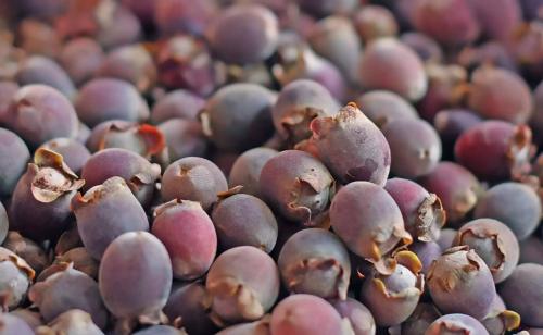 ҽʲôˮʲôЧ, гҽǮһ