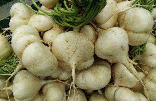 Ϊʲôӻо綾Ӽ۸Ǯһ