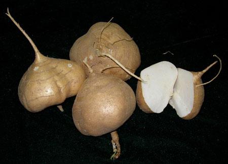 Ϊʲôӻо綾Ӽ۸Ǯһ