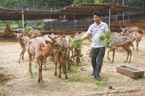 ÷¹ֳǮûǰ·÷¹۸Ǯһֻ