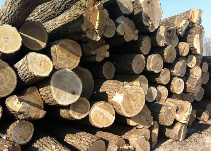 ����鱼۸���ȱ������Щ���ľ��ʲô���� ����������������