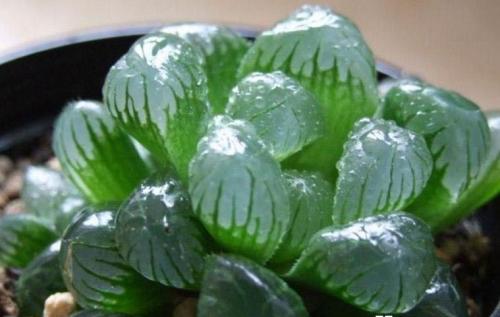 ������¶�Ļ���ʹ�˵, ������¶����;�ͼ�ֵ