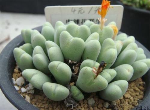 ������¶�Ļ���ʹ�˵, ������¶����;�ͼ�ֵ