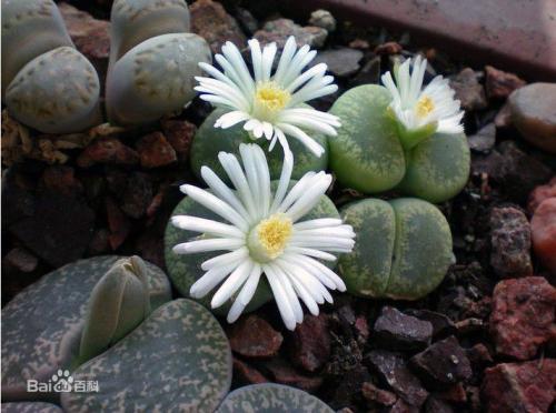 ������¶�Ļ���ʹ�˵, ������¶����;�ͼ�ֵ