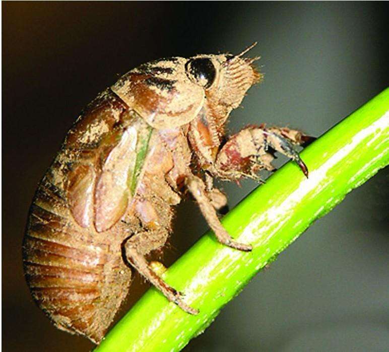 ֳͶʶǮһĶֳٽǰ ôֳ