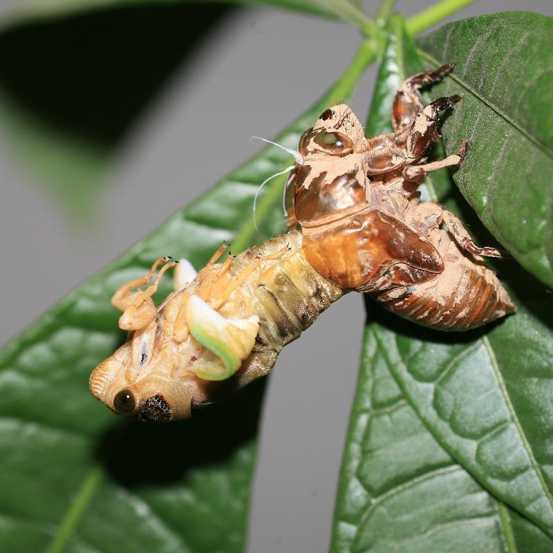 ֳͶʶǮһĶֳٽǰ ôֳ