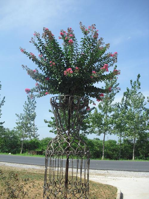 ޱʲôʱǤ巽ʱ ޱǤǤ弼ͼ