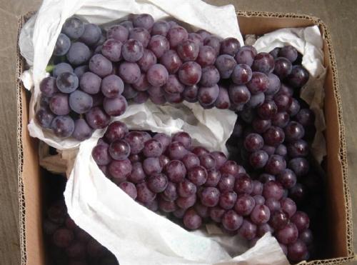 ĺѶǮһĺһĶصĲǶ