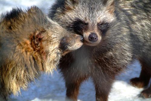 ӶǮһֻôֳӸʱڵֳҪ