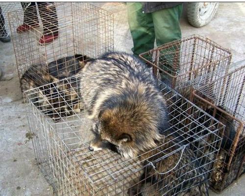 ӶǮһֻôֳӸʱڵֳҪ