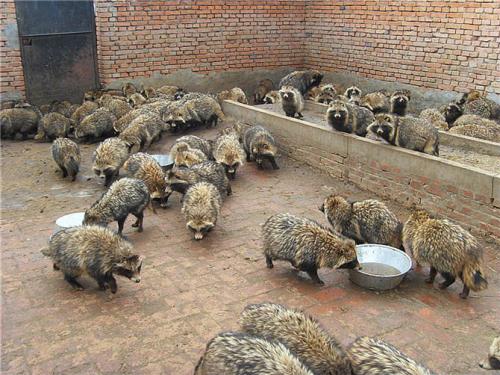 ӶǮһֻôֳӸʱڵֳҪ