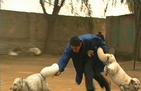 ӶǮһֻôֳӸʱڵֳҪ