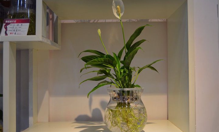 �׺������໹��ˮ���?ˮ��׺������ֳ�����������ķ���