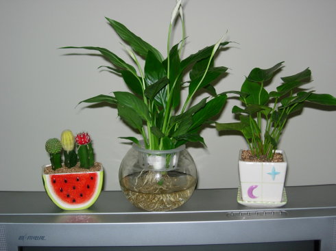 �׺������໹��ˮ���?ˮ��׺������ֳ�����������ķ���