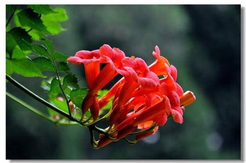 �����������̻���򵥵�������,���ָ����ָ�Ư��?