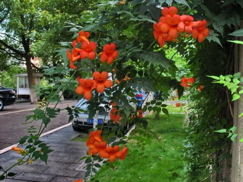 �����������̻���򵥵�������,���ָ����ָ�Ư��?