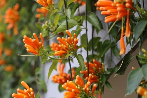 �����������̻���򵥵�������,���ָ����ָ�Ư��?