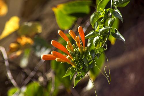 ���̻��Ļ����ж�����°���?���̻������ڼ�����ڷŷ�ˮ����