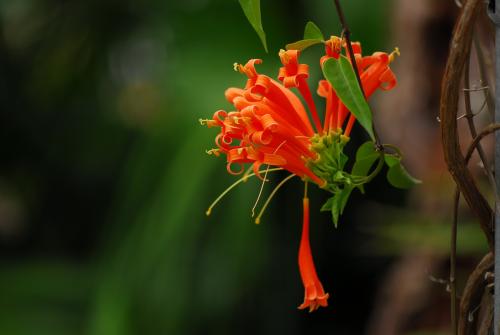 ���̻��Ļ����ж�����°���?���̻������ڼ�����ڷŷ�ˮ����