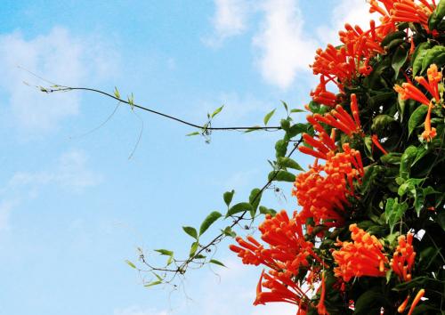 ���̻��Ļ����ж�����°���?���̻������ڼ�����ڷŷ�ˮ����