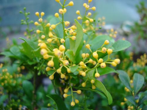 ������ʲôʱ�򿪻���������������ʲô�����������봫˵